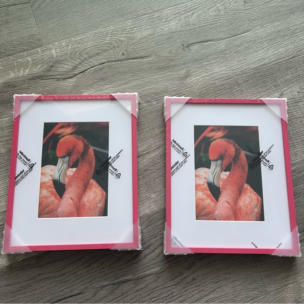 Set of 2 Aluminum Picture Frames